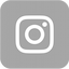 Instagram Icon